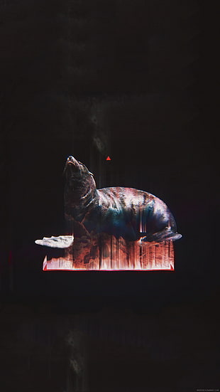 sea lion illustration, glitch art, abstract, black, animals