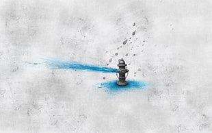 gray fire hydrant illustration