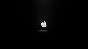 Apple product logo
