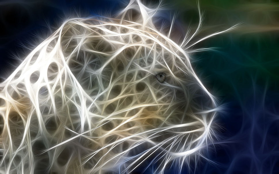 white tiger illustration HD wallpaper