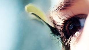 selective focus photography of eyelash