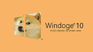 Windoge 10 much improve so amaze wow HD wallpaper