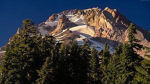 green leaf trees near brown rocky mountain under blue sky