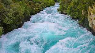 river between green leaf plants, nature, landscape, river, Huka Falls