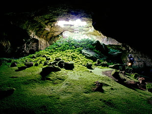brown cave, cave, nature, moss, rock HD wallpaper