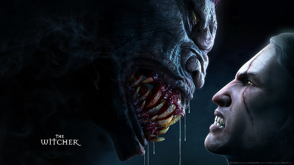 The Witcher poster, The Witcher HD wallpaper