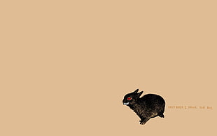 black animal illustration HD wallpaper