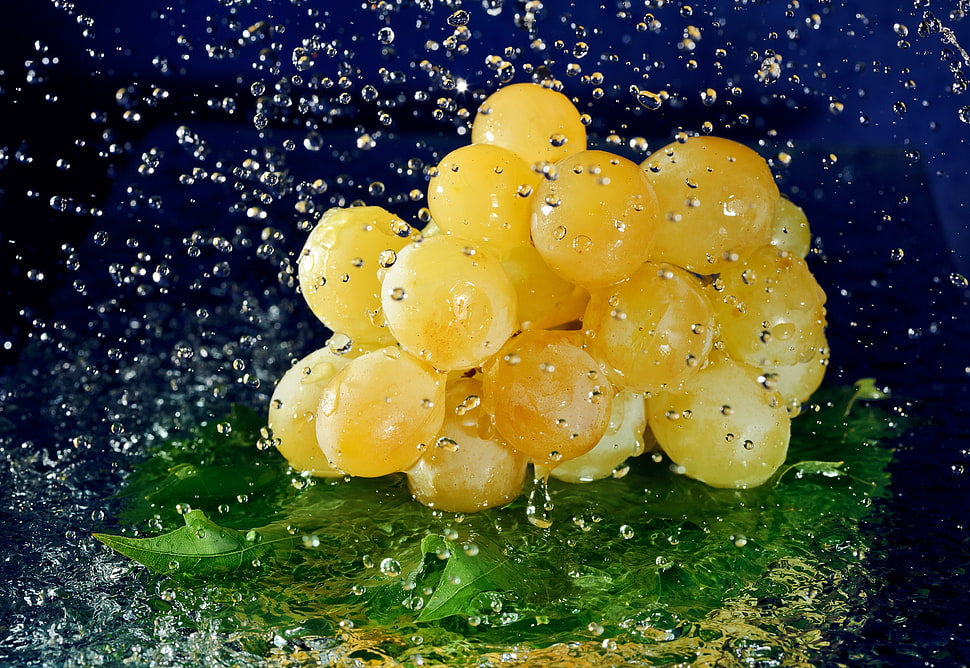 yellow fruit with water droplets HD wallpaper
