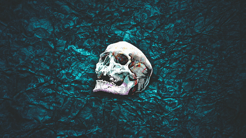 white skull painting, skull, pattern, abstract, simple background HD wallpaper