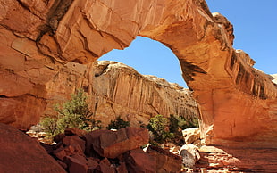 brown archway structure, rock, nature, landscape