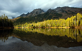 lake near mountain photo HD wallpaper