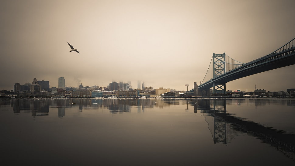 concrete bridge, bridge HD wallpaper