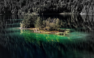 islet with pine trees, lake, green, forest, colorful