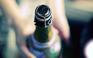 green glass bottle, champagne, bottles, depth of field, alcohol HD wallpaper