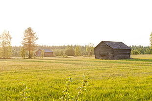 gray shed surround white green grass field and trees photo, finland