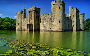 beige fortress, castle, landscape HD wallpaper
