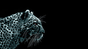 grayscale leopard illustration, nature, animals, big cats, digital art