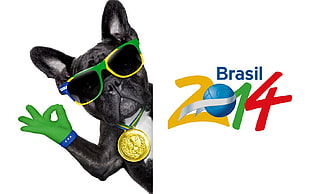 Brasil 2014 HD wallpaper
