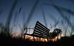 brown wooden bench, photography, photo manipulation