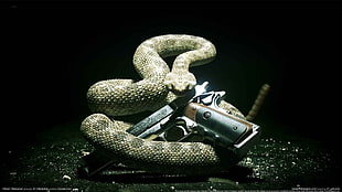 gray semi automatic pistol and gray snake, Hitman: Absolution, PC gaming, gun