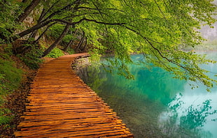 wooden footbridge near body of water