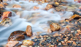 close up photo of time-laps running water HD wallpaper