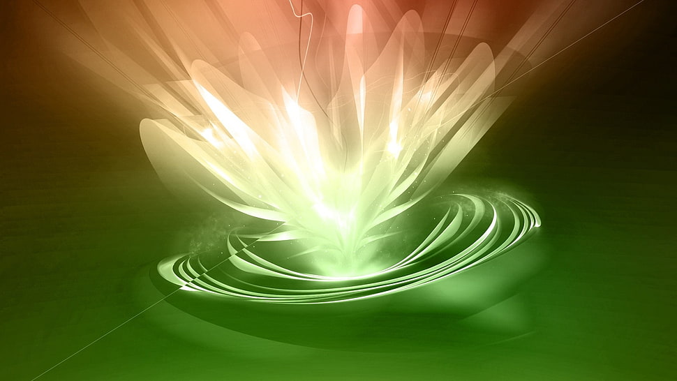 Lily,  Light,  Rays,  Shine HD wallpaper