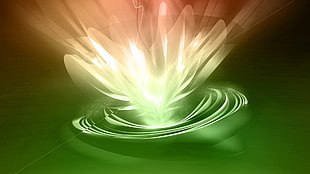 Lily,  Light,  Rays,  Shine
