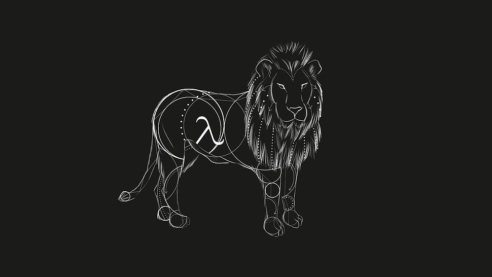 gray lion wallpaper, lion, linear, simple background, artwork HD wallpaper