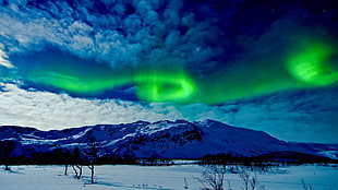 aurora lights, aurorae, sky, nature HD wallpaper