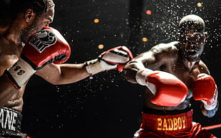 pair of red-and-white boxing gloves, sports, boxing