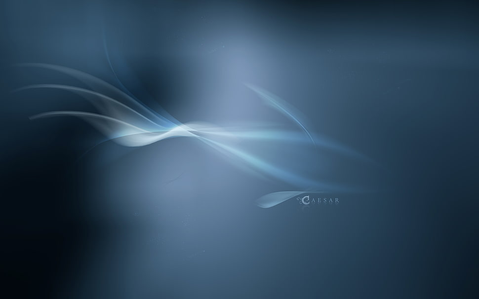 gray and white light illustration HD wallpaper