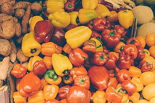 yellow, red, and orange bell peppers HD wallpaper