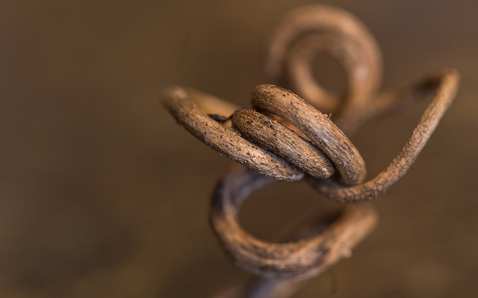 macro shot of white metal frame HD wallpaper