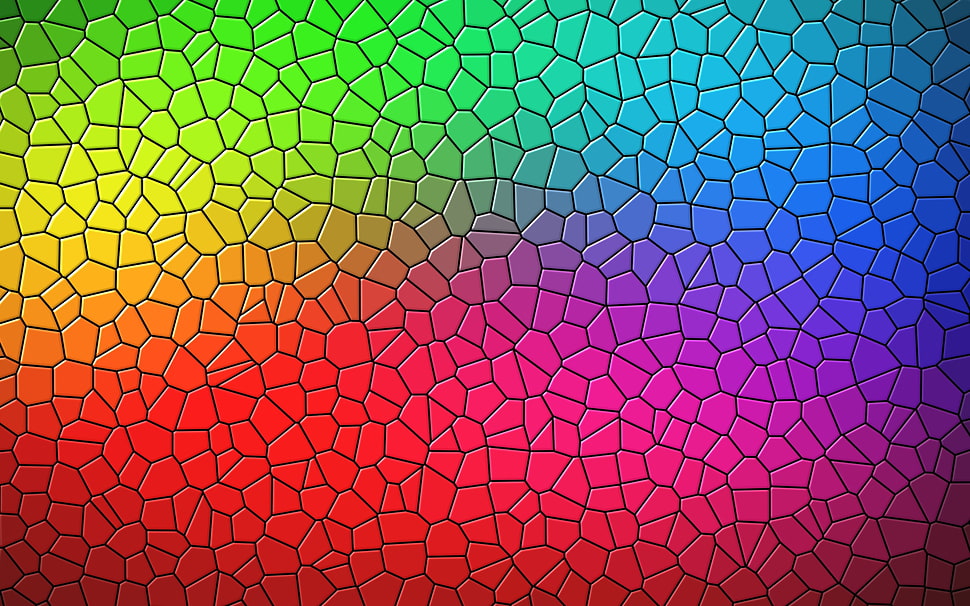 multicolored wallpaper HD wallpaper