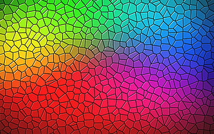 multicolored wallpaper