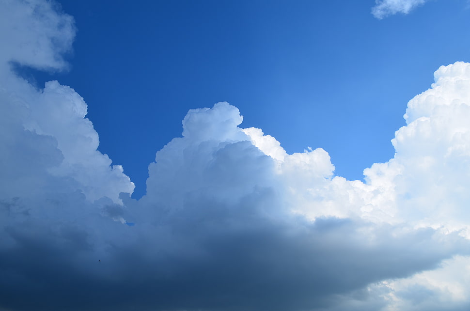 white and black ceramic vase, clouds, birds, sky HD wallpaper