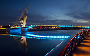blue lighted bridge photo during night time HD wallpaper