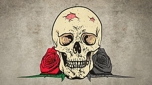 white skull illustration, digital art, drawing, skull, rose