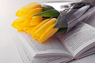yellow tulips bouquet, Tulips, Book, Flowers