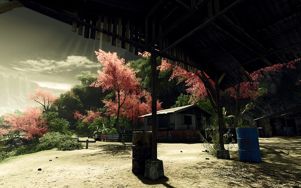 pink leafed trees, Crysis HD wallpaper