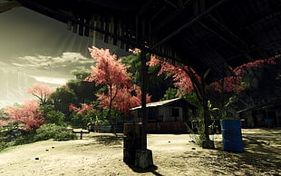 pink leafed trees, Crysis HD wallpaper