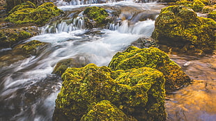 river painting, Waterfall, Moss, Stones