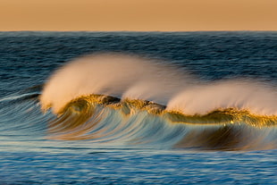 sea waves during golden hour HD wallpaper
