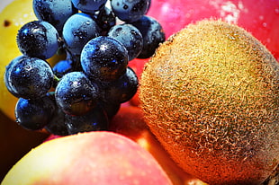 Kiwi,  Grapes,  Fruit