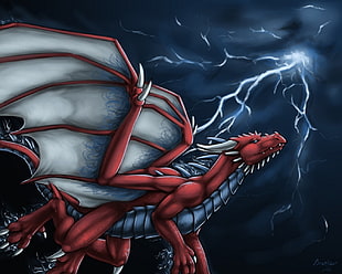 red and gray dragon illustration, dragon