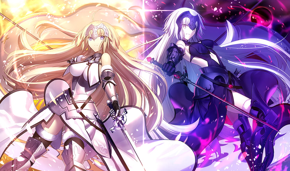 two female anime characters digital wallpaper, Fate/Grand Order HD wallpaper