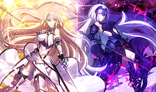 two female anime characters digital wallpaper, Fate/Grand Order