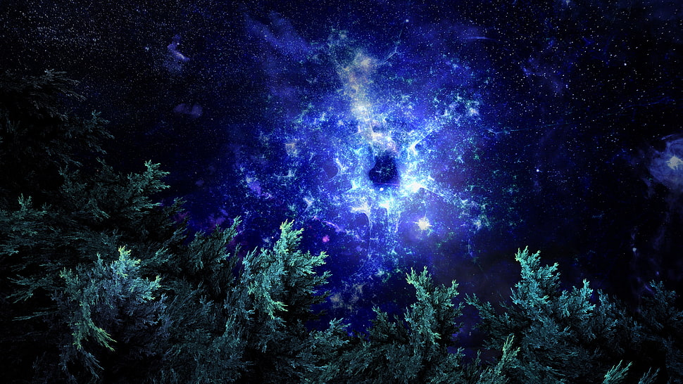 fractal, forest, space, nebula HD wallpaper