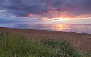 landscape photography of body of water during golden hour HD wallpaper